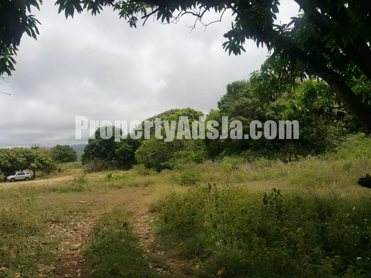 Residential lot For Sale in St Elizabeth, St. Elizabeth Jamaica