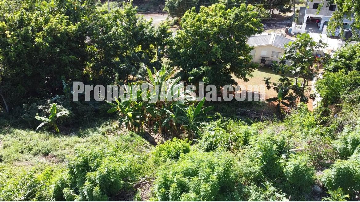 Residential lot For Sale in Belle Air, St. Ann Jamaica
