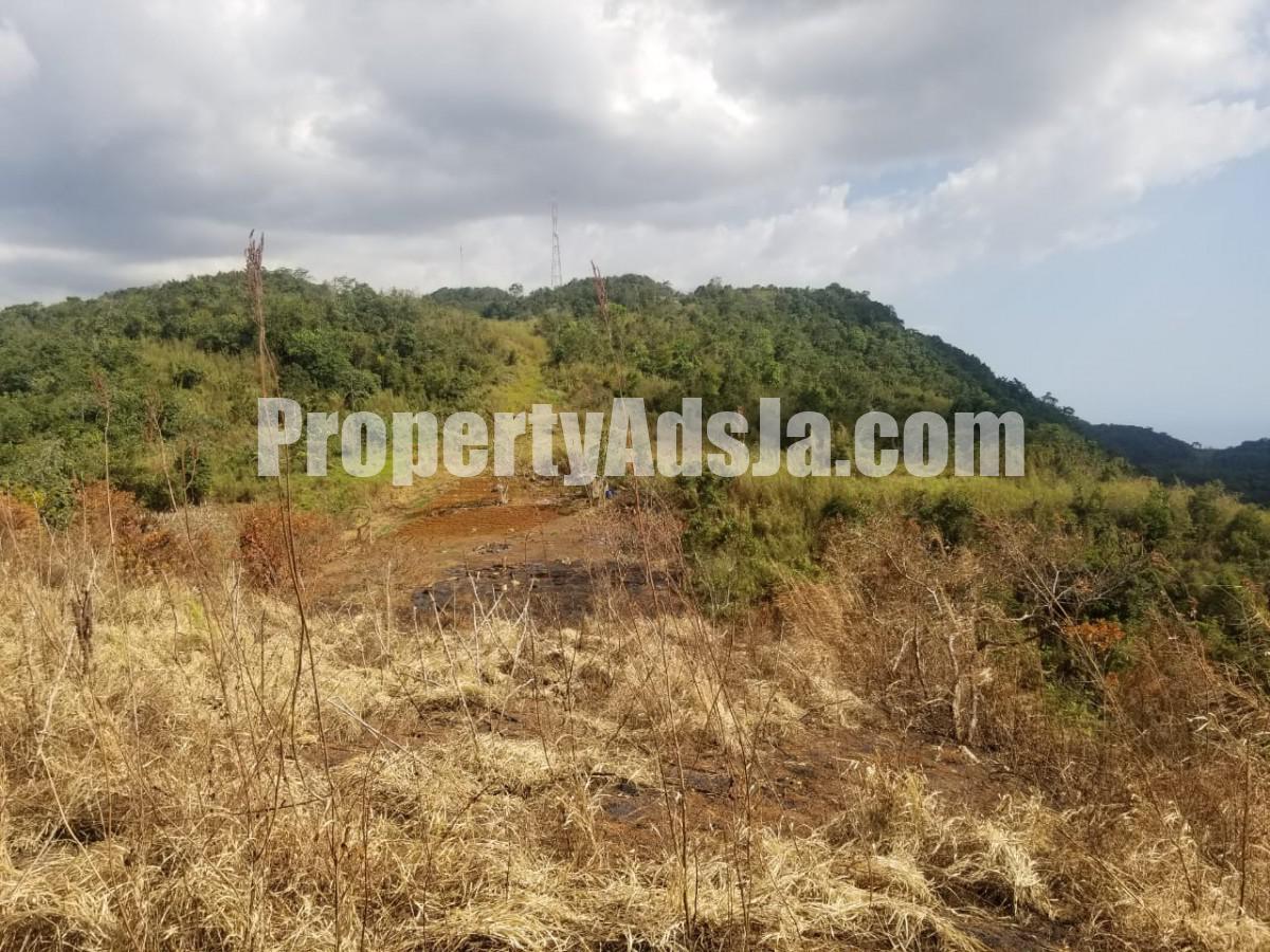 Residential lot For Sale in Rock Hall, Kingston / St. Andrew Jamaica