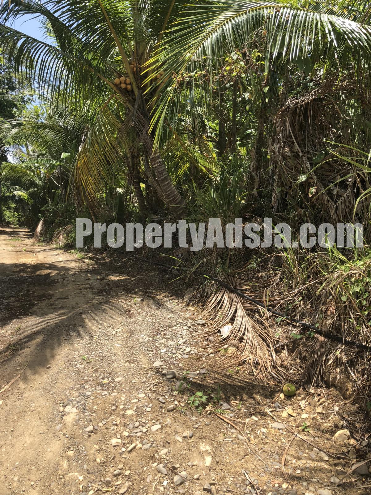 Residential lot For Sale in Dover Epsom, St. Mary Jamaica