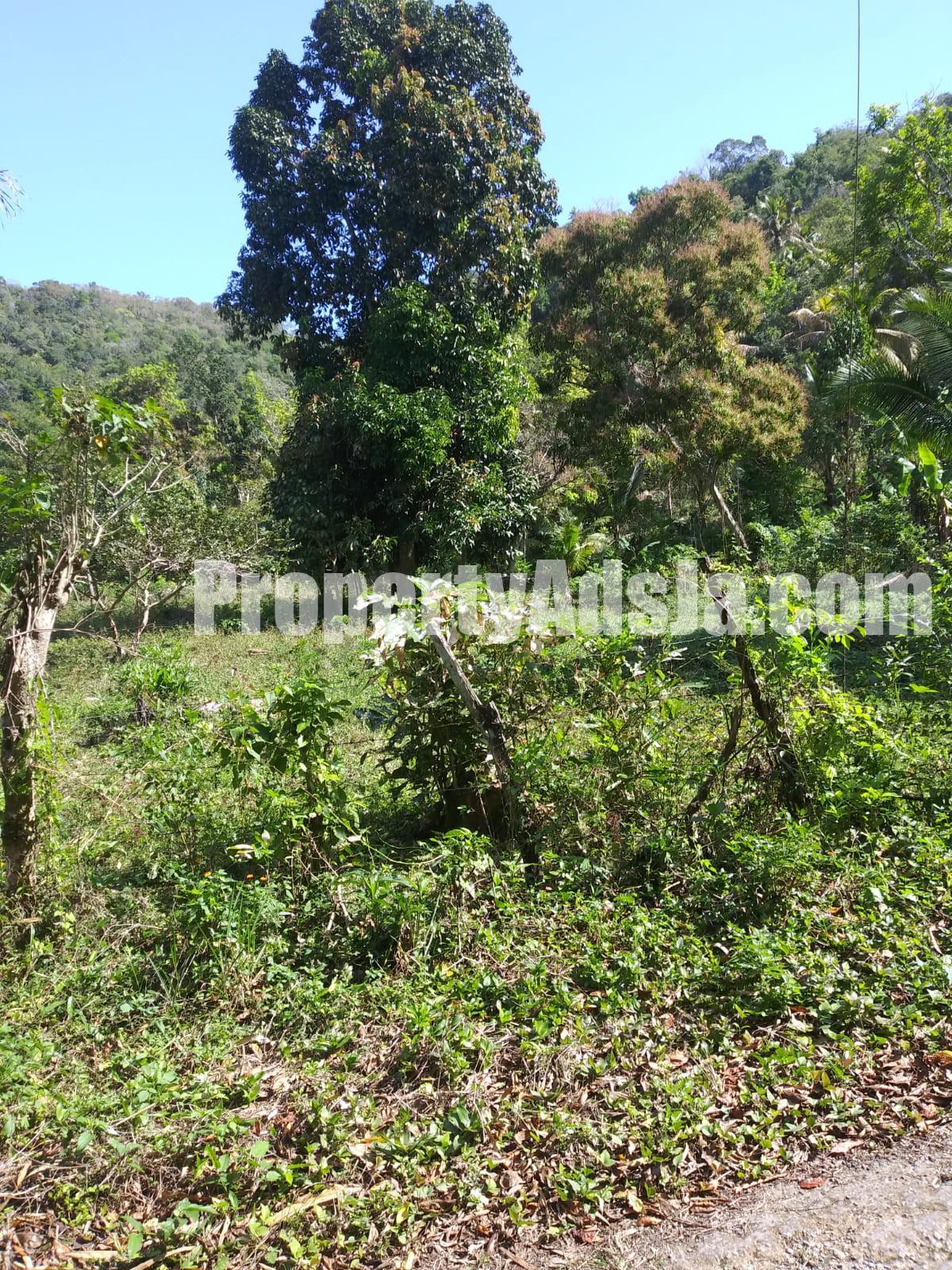 Land For Sale In Mile Gully Manchester Manchester Jamaica