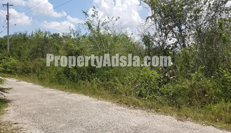 Residential lot For Sale in PAROTTEE, St. Elizabeth Jamaica