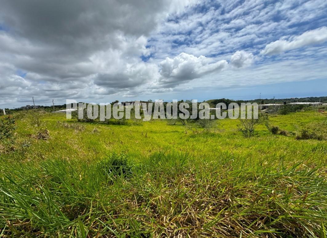 Residential lot For Sale in Cross Keys, Manchester Jamaica