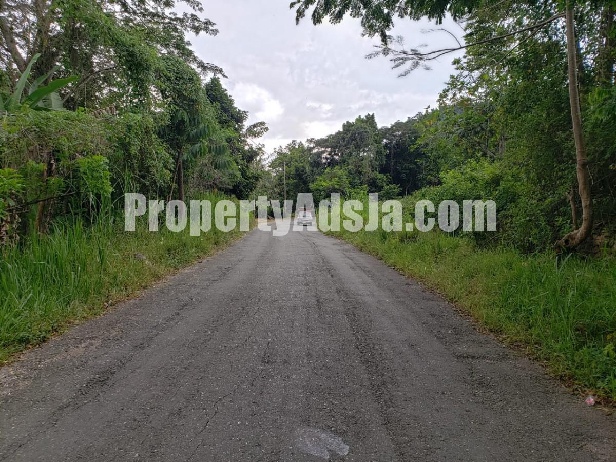 Commercial/farm land For Sale in Watermount, St. Catherine Jamaica