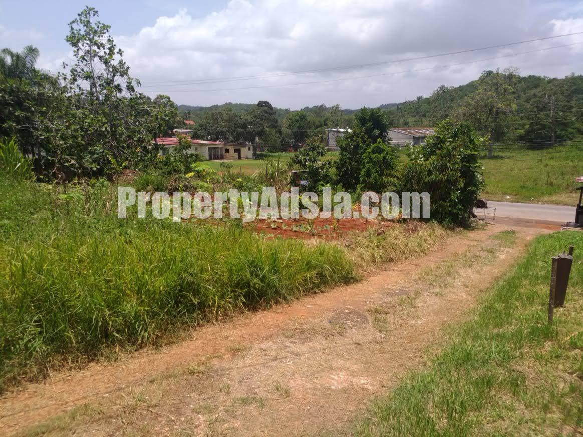 Residential lot For Sale in Caledonia Road Grey Ground, Manchester