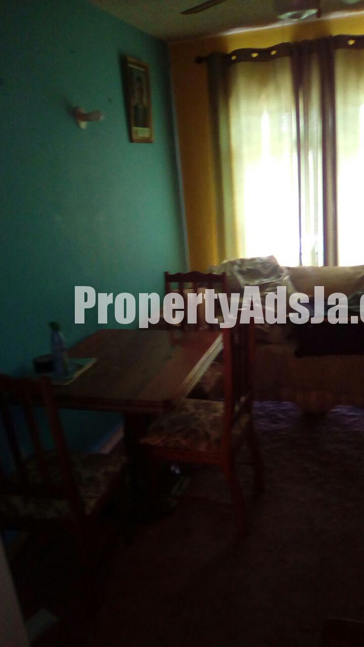 Apartment For Rent in Half Way Tree, Kingston / St. Andrew Jamaica