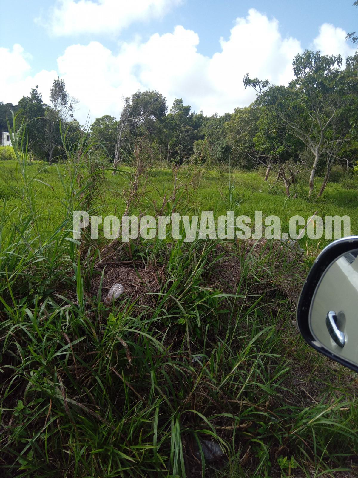 Residential lot For Sale in KnockPatrick, Manchester Jamaica