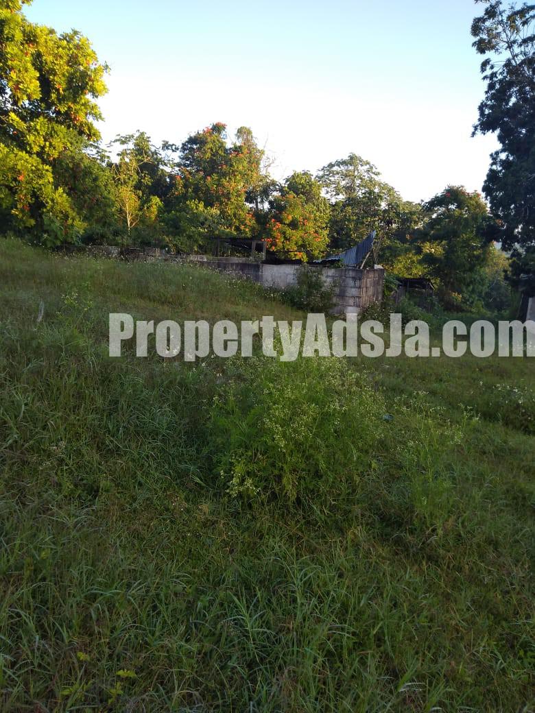 Commercial/farm land For Rent in Lydford St Ann, St. Ann Jamaica