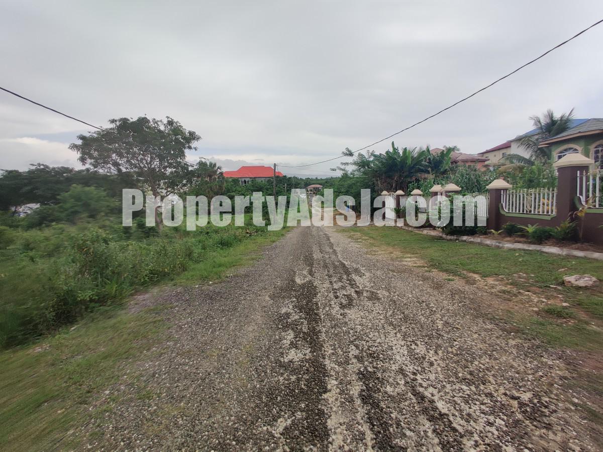 Residential lot For Sale in 233 Olive Park, St. Elizabeth Jamaica
