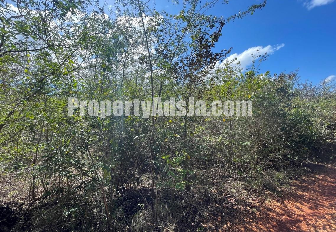 Residential lot For Sale in Spring Garden Run, St. Catherine
