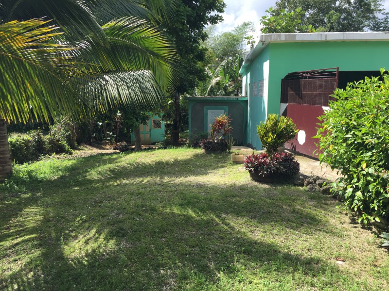 House For Sale in Clapham Moneague, St. Ann Jamaica
