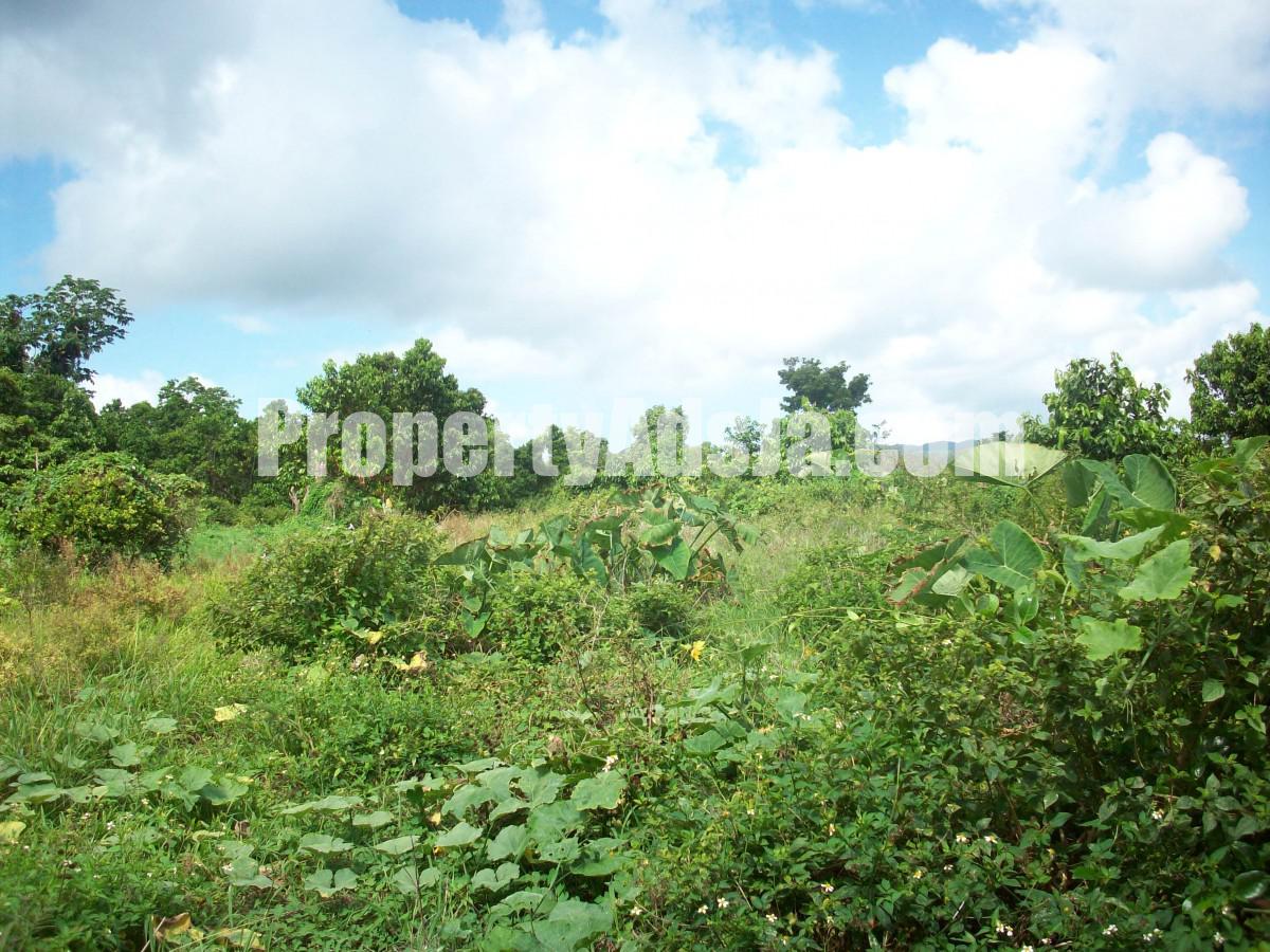 Residential lot For Sale in St Margarets Bay, Portland Jamaica