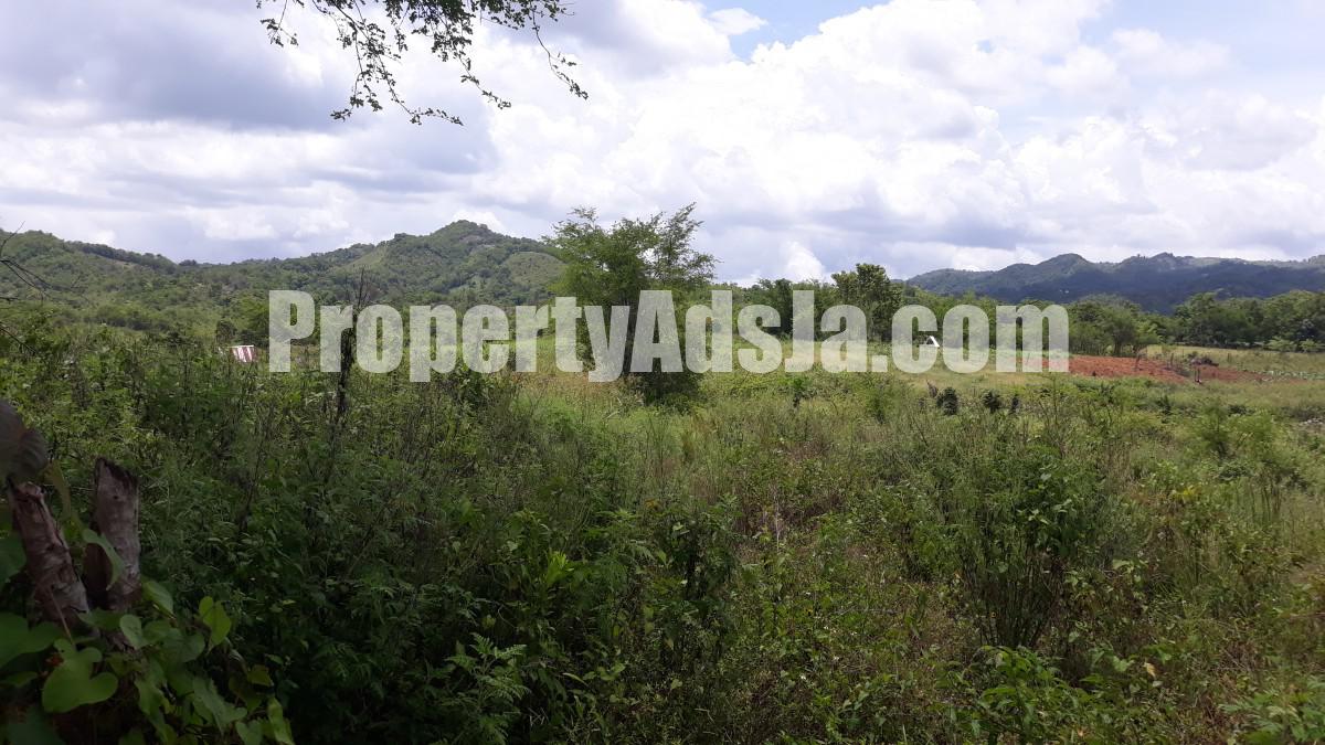 Commercial/farm land For Sale in New Market, St. Elizabeth Jamaica
