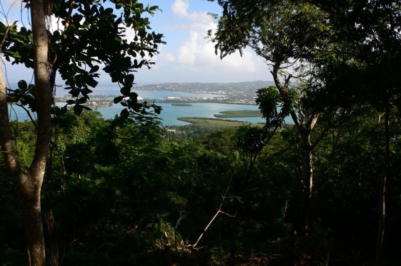 Residential lot For Sale in Content, St. James Jamaica