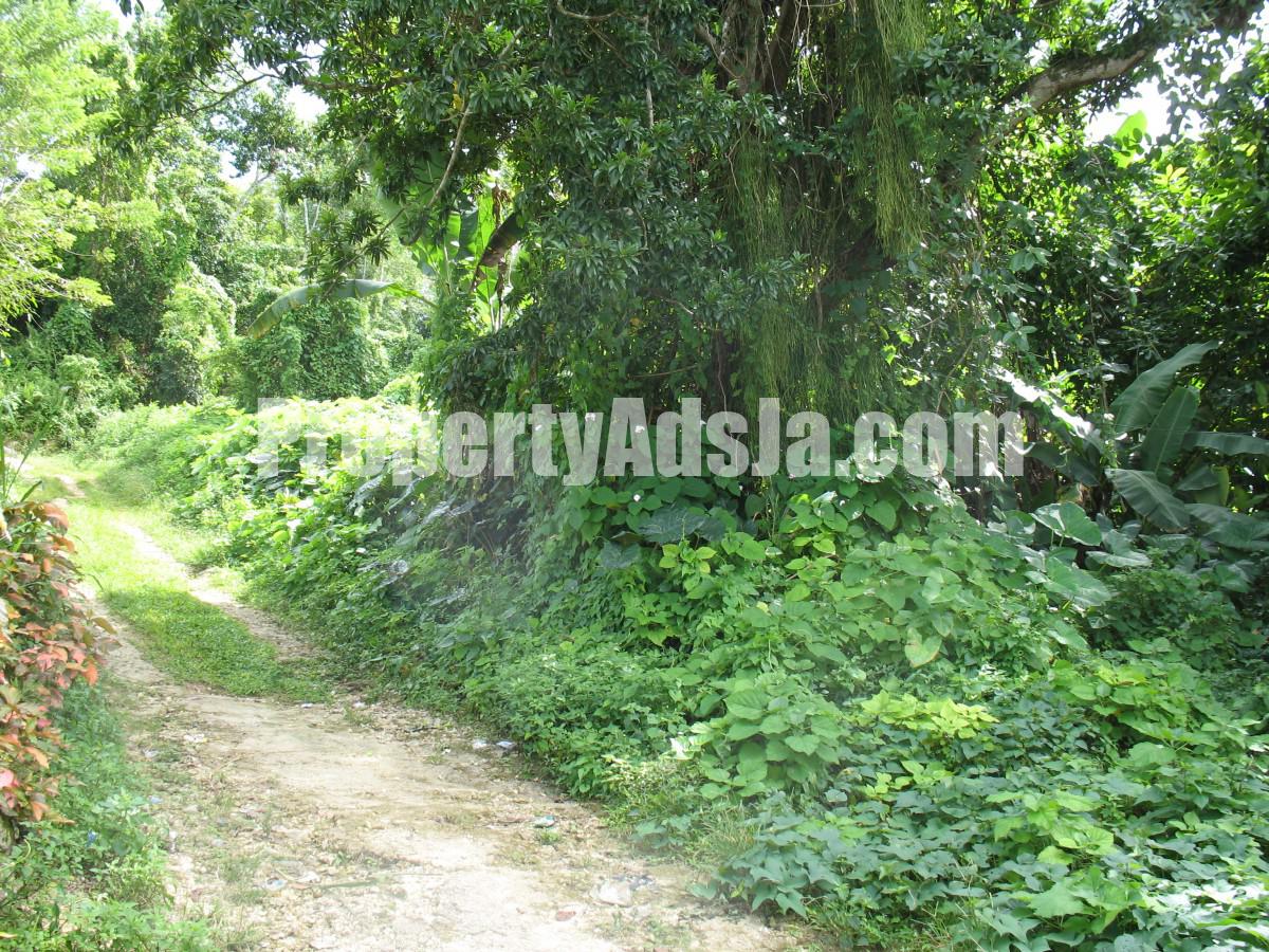 Residential lot For Sale in Colegate Ocho Rios St Ann Jamaica, St. Ann