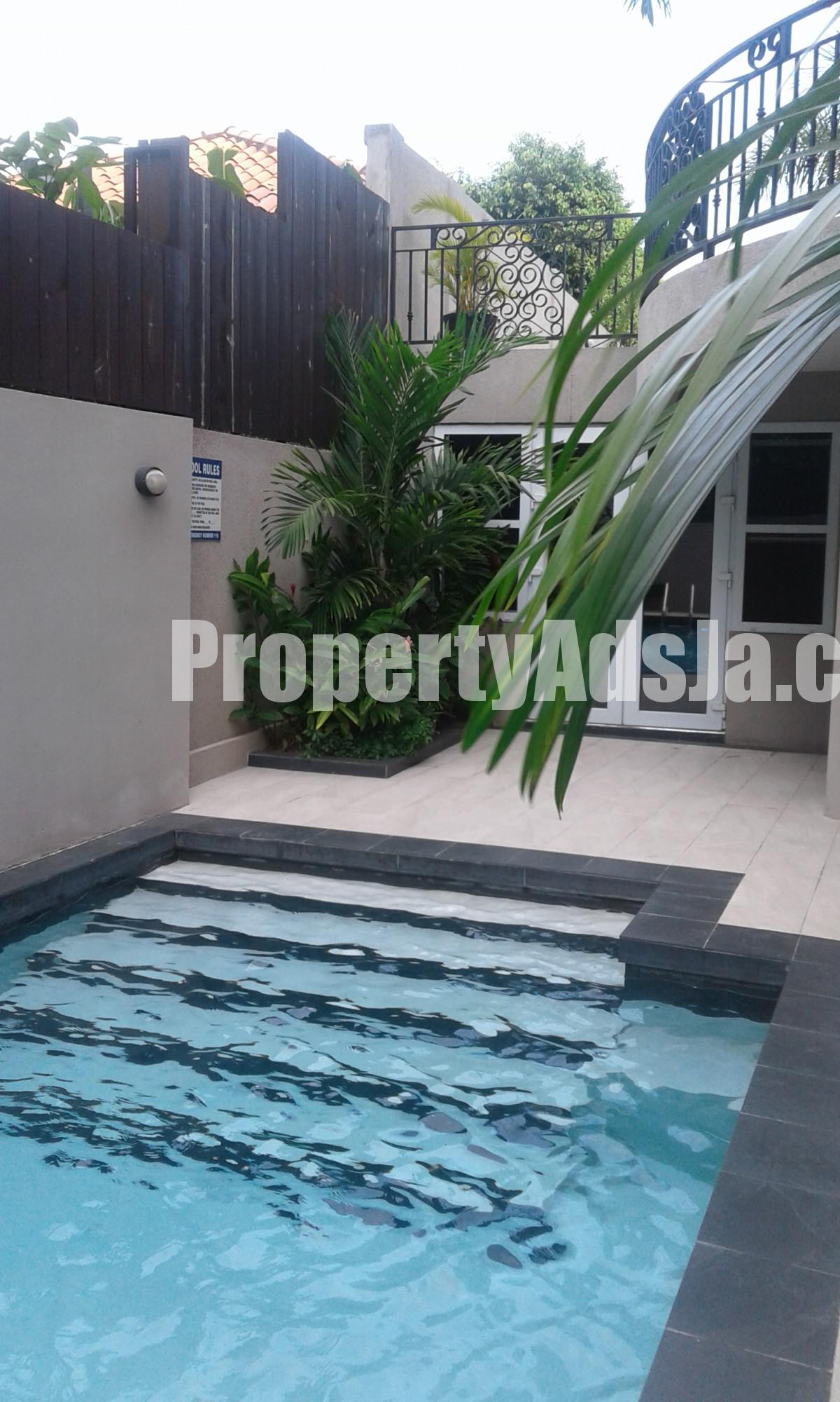 Apartment For Rent in Paddington Terrace, Kingston / St. Andrew Jamaica