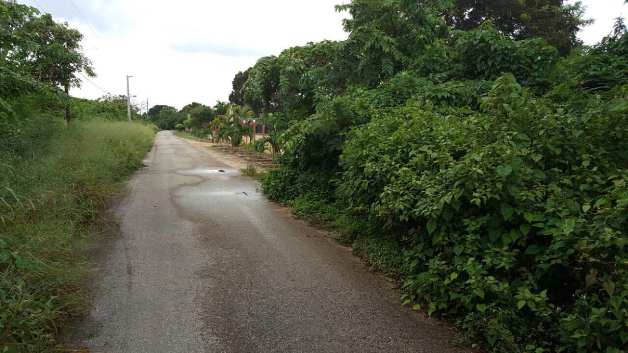 Residential lot For Sale in Bengal Estate Discovery Bay, St. Ann