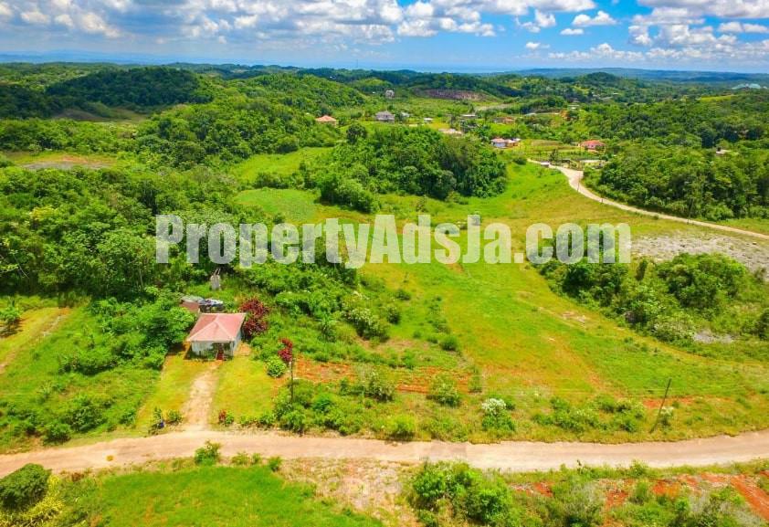 Land For Sale in 29 Knockpatrick And Invernes, Manchester Jamaica