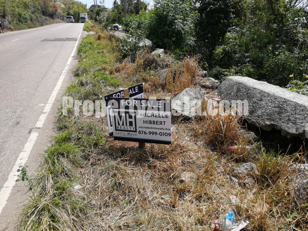 Commercial land For Sale in Spur Tree, Manchester Jamaica