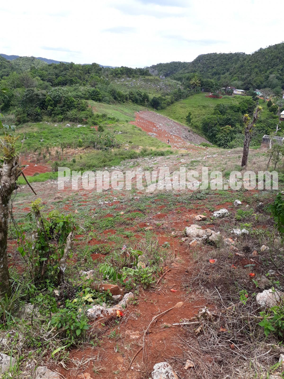 Residential lot For Sale in Lumsden, St. Ann Jamaica