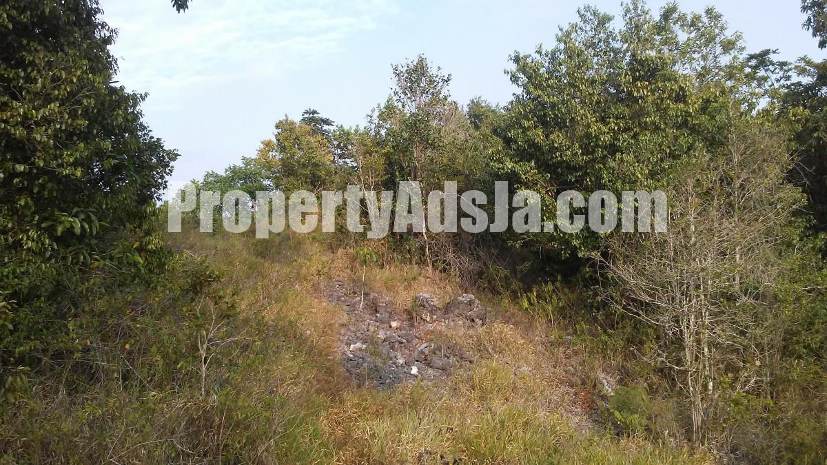 Residential lot For Sale in Cross Keys, Manchester Jamaica