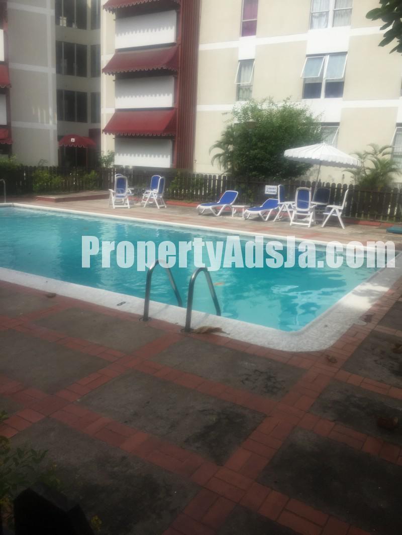 Apartment For Rent in HOPE ROAD, Kingston / St. Andrew Jamaica