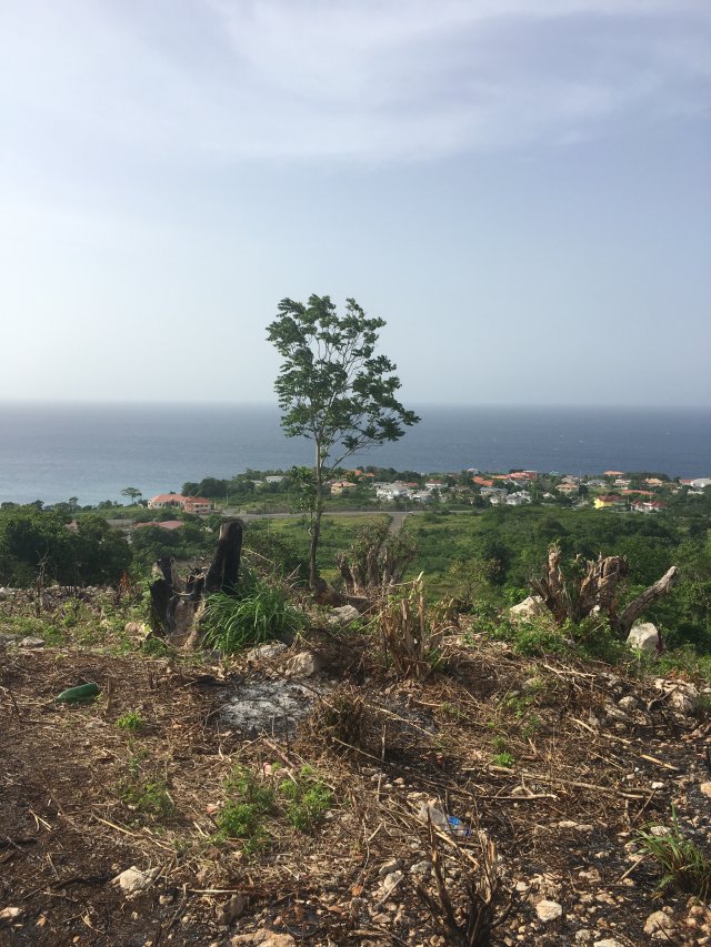 Residential lot For Sale in Battle Site, St. Mary Jamaica