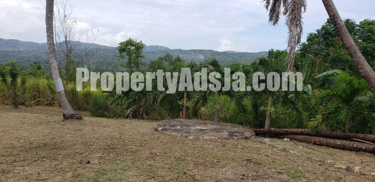 Commercial/farm land For Sale in Unity, St. Mary Jamaica