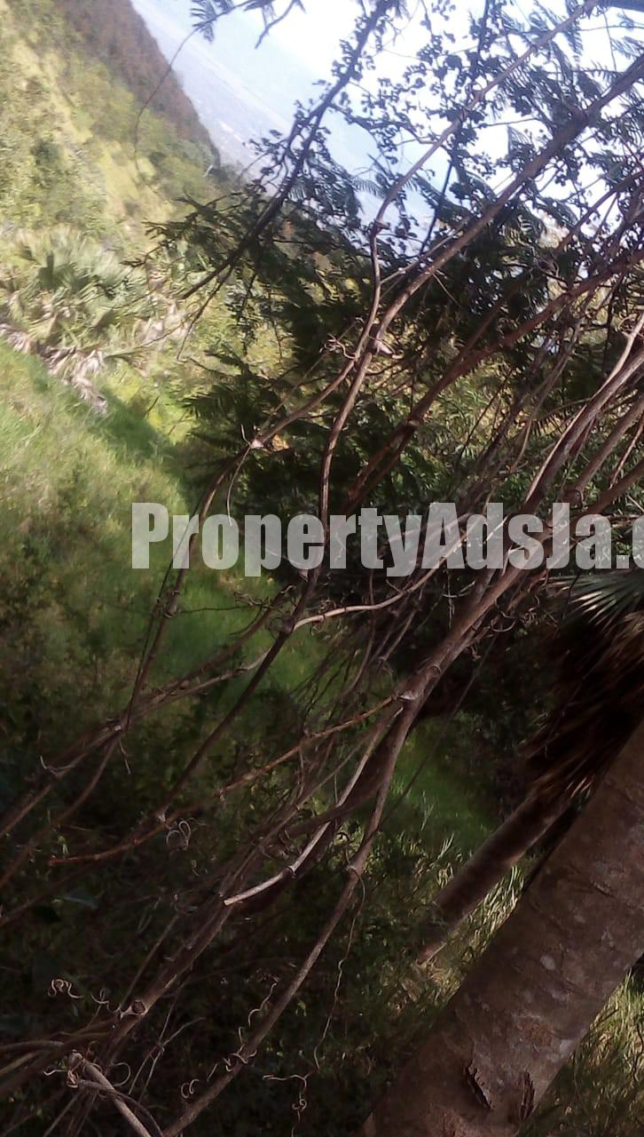 Residential lot For Sale in Malvern, St. Elizabeth Jamaica