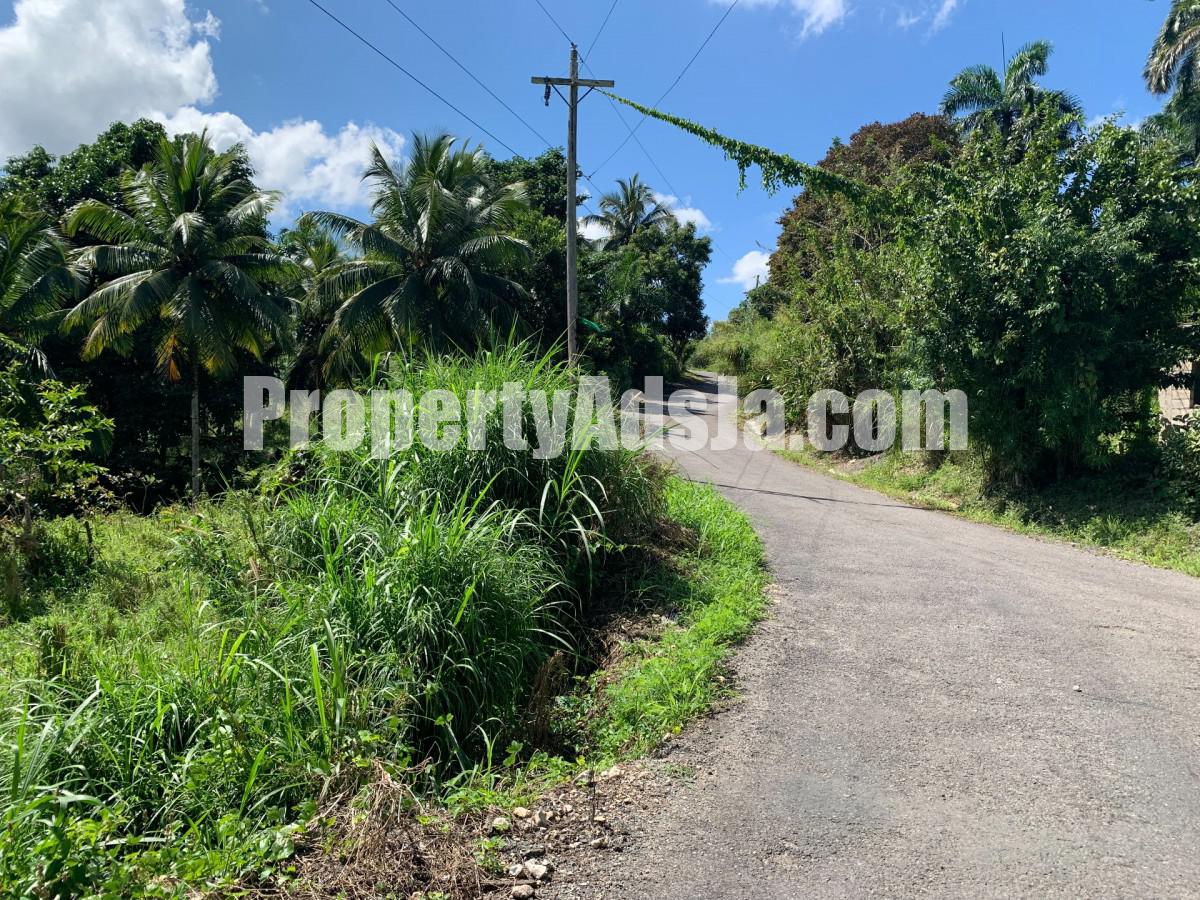 Land For Sale in Guys Hill, St. Mary Jamaica