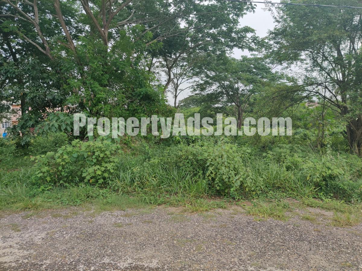 Residential lot For Sale in Lot 204 Olive Park, St. Elizabeth Jamaica