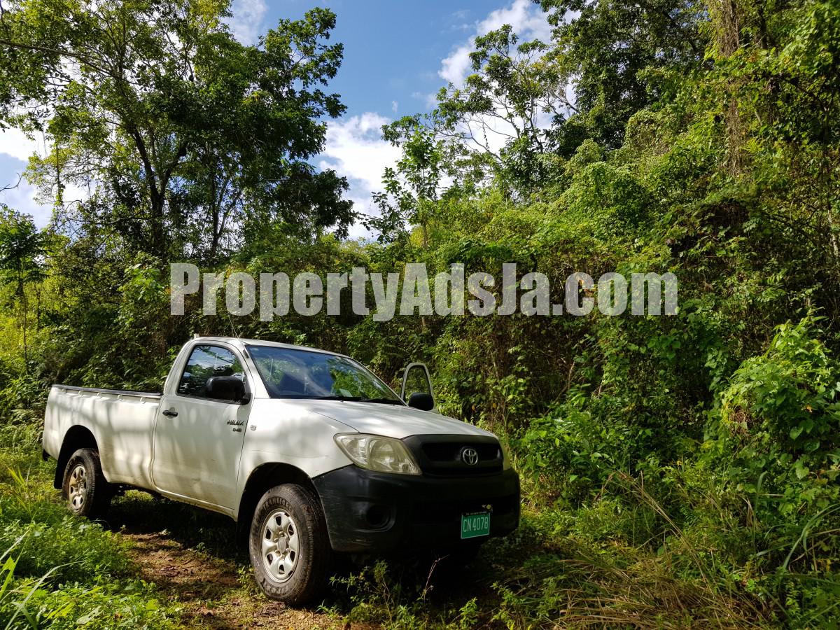 Commercial/farm land For Sale in Carton Estate Off road leading from