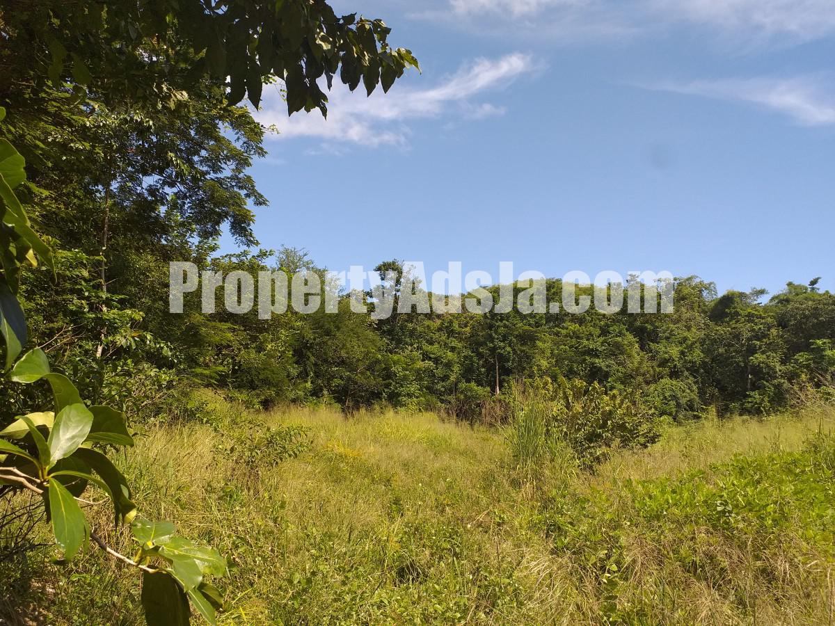 Land For Sale in Buckingham, St. Thomas Jamaica
