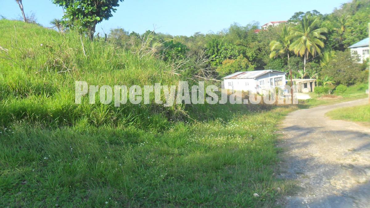 Residential lot For Sale in Linstead Buena Vista, St. Catherine Jamaica