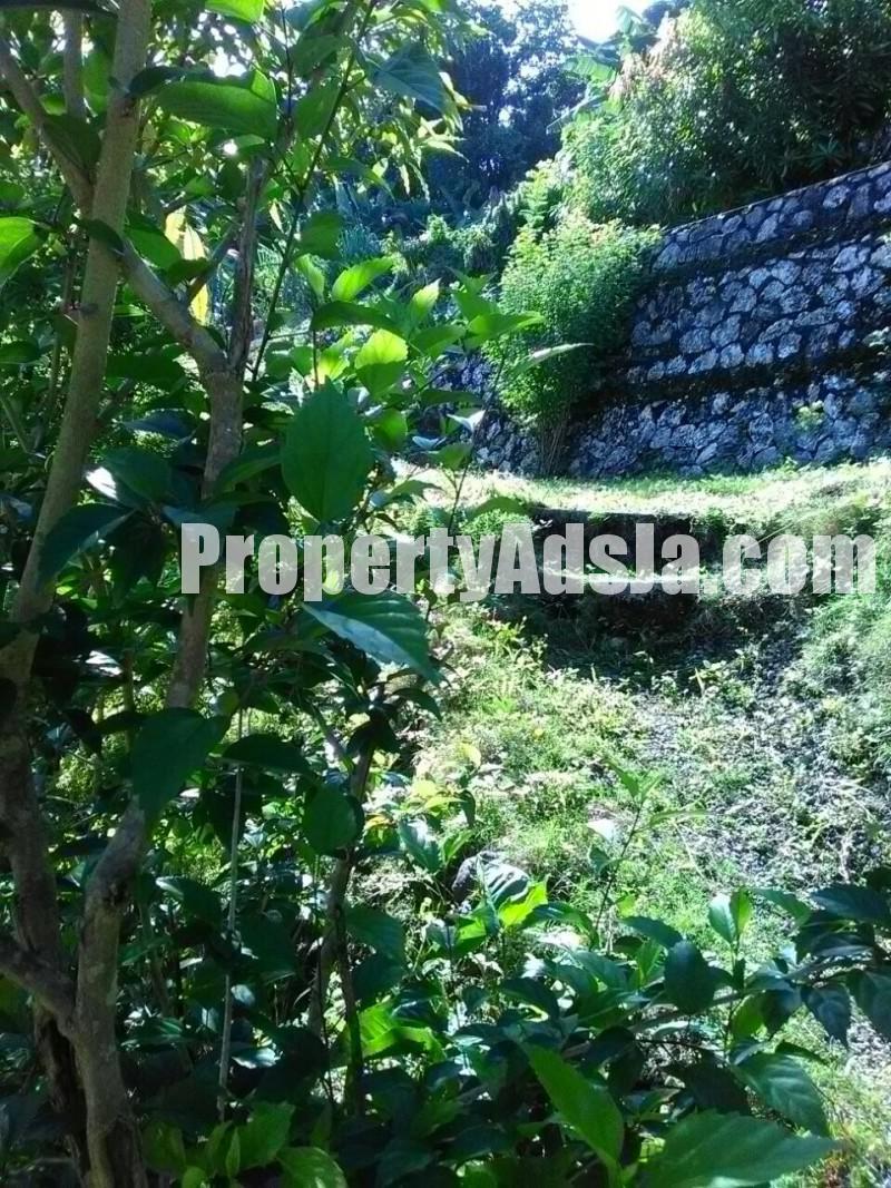 House For Sale in Buff Bay, Portland Jamaica