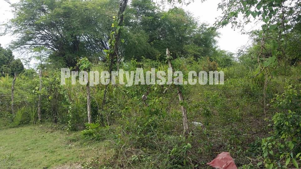 Residential lot For Sale in Priory, St. Ann Jamaica
