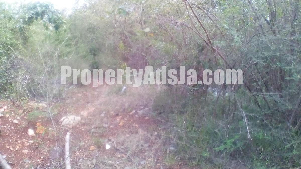 Residential lot For Sale in Cocoa Walk, St. Catherine Jamaica