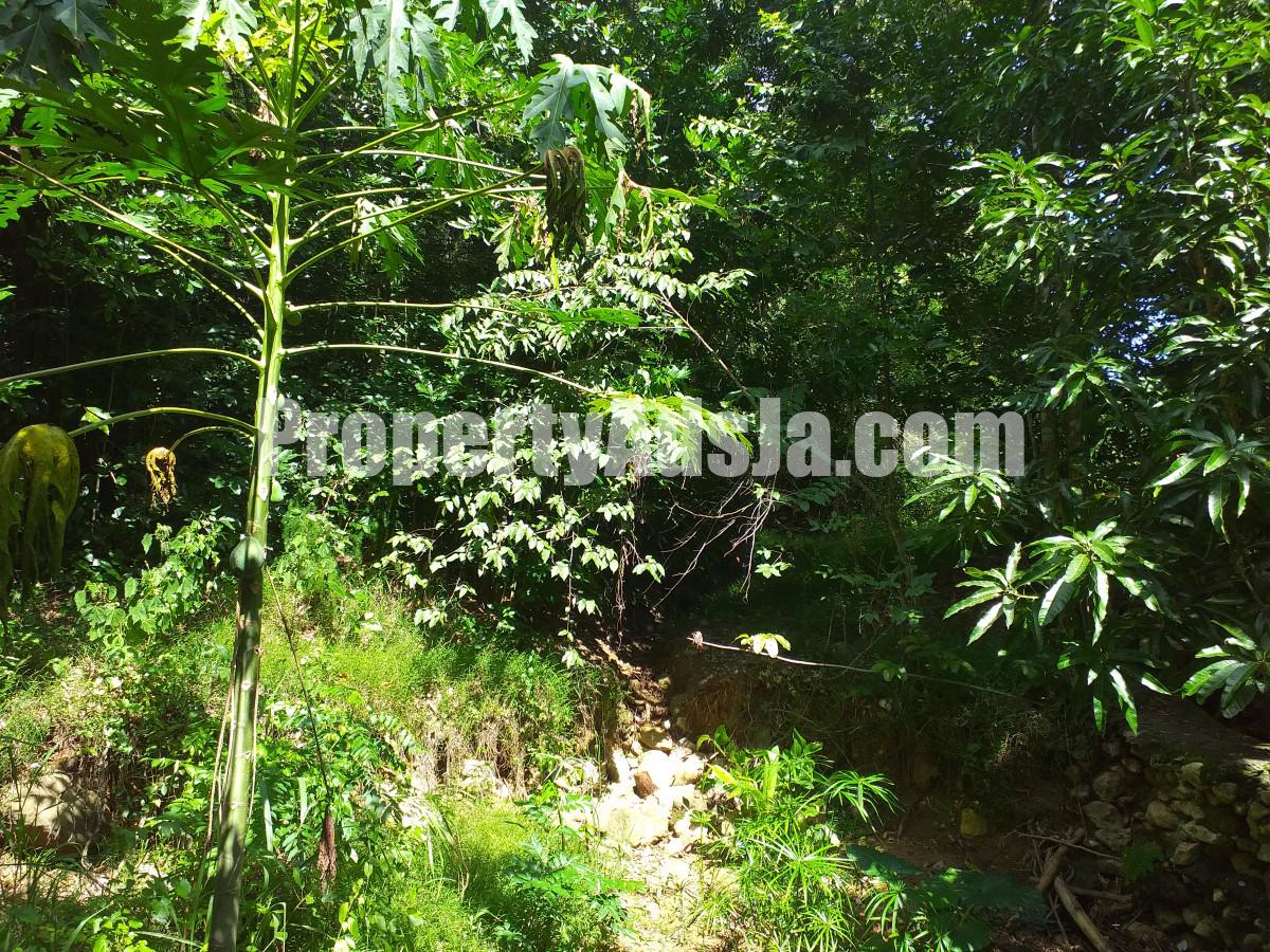 Land For Sale in Buckingham, St. Thomas Jamaica