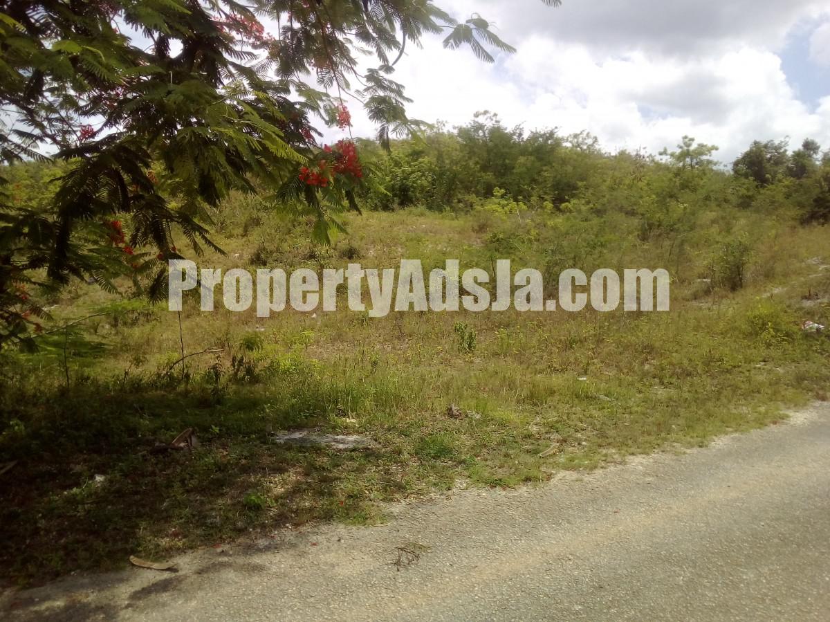 Residential lot For Sale in Goshen Santa Cruz, St. Elizabeth Jamaica