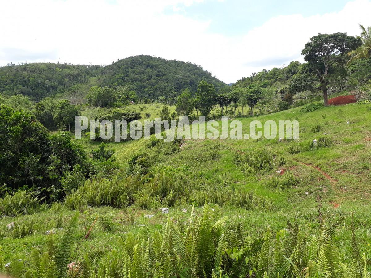Residential lot For Sale in Lumsden, St. Ann Jamaica