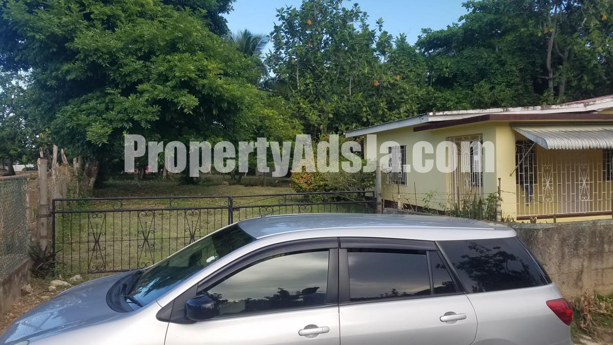 House For Sale in Great Pond, St. Ann Jamaica