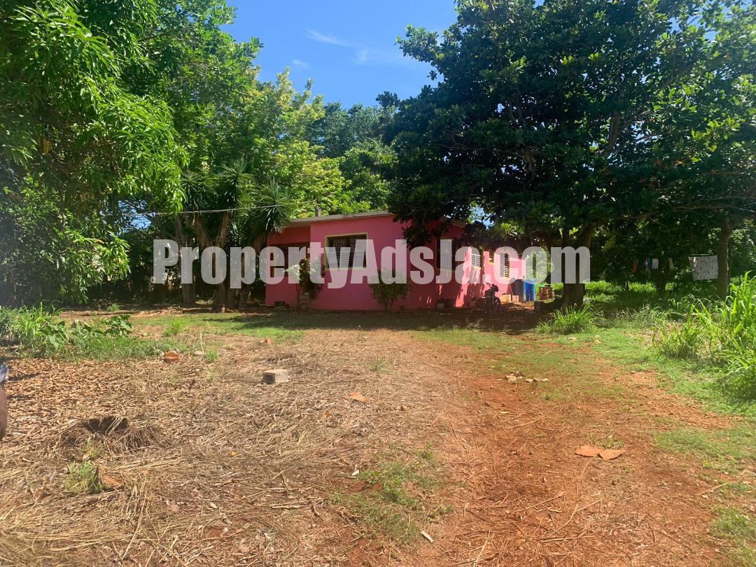 House For Sale in Treasure Beach, St. Elizabeth Jamaica