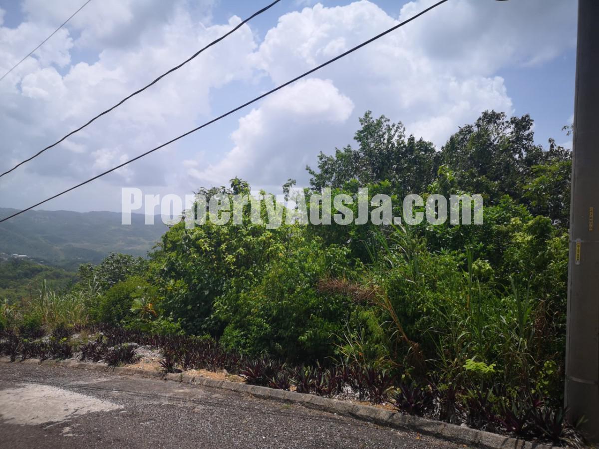 Residential lot For Sale in Mandeville, Manchester Jamaica