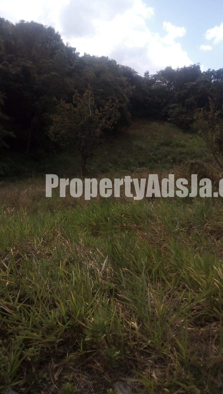 Residential lot For Sale in Malvern, St. Elizabeth Jamaica