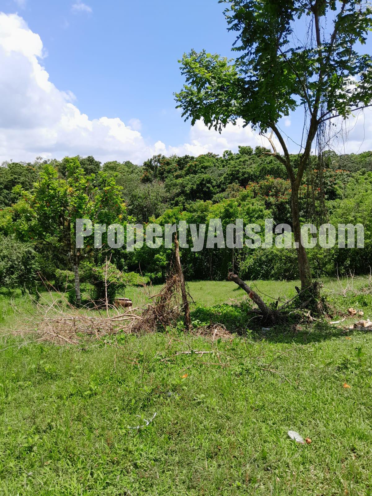 Land For Sale in Seaford Town, Westmoreland Jamaica