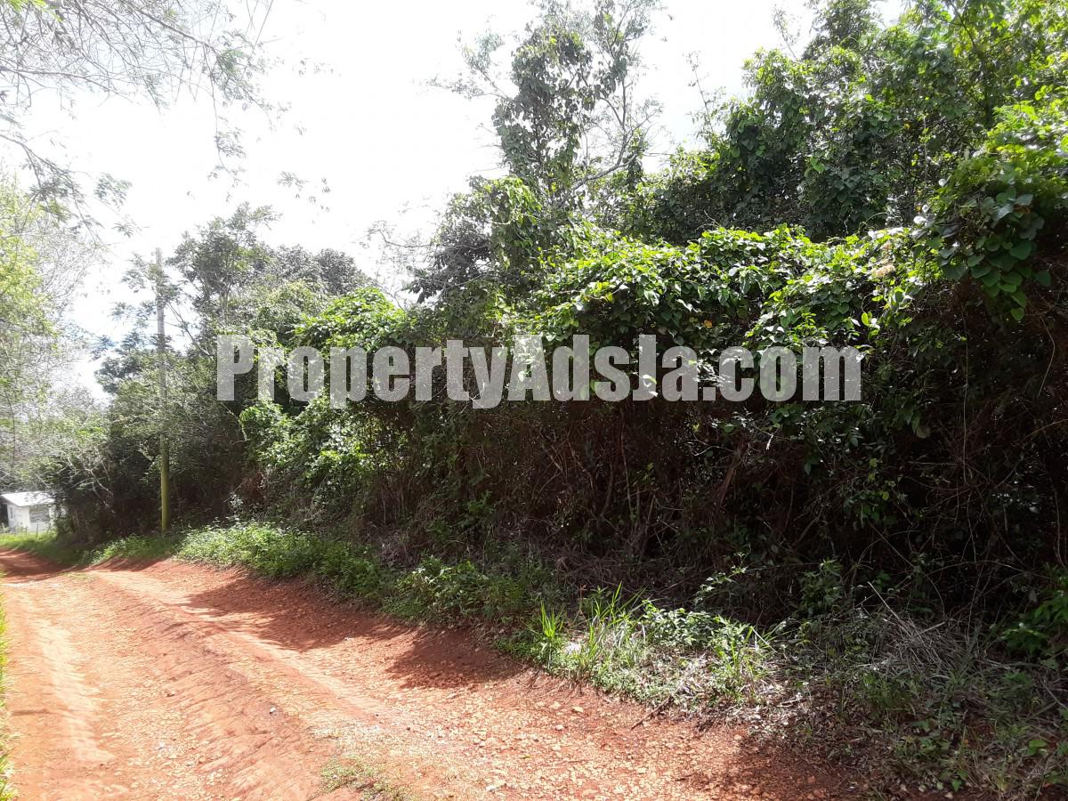 Residential lot For Sale in Cross Keys Manchester, Manchester Jamaica