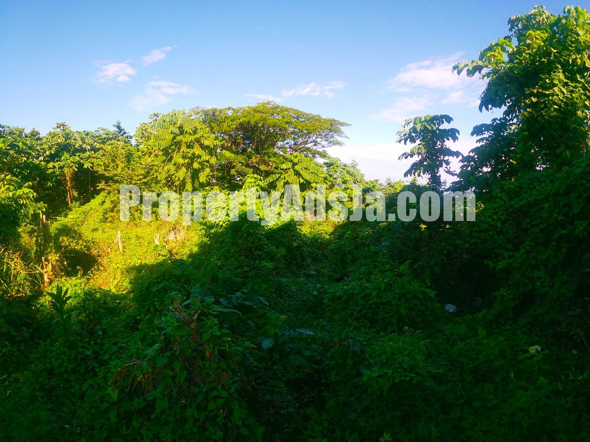 Residential lot For Sale in Buff Bay, Portland Jamaica
