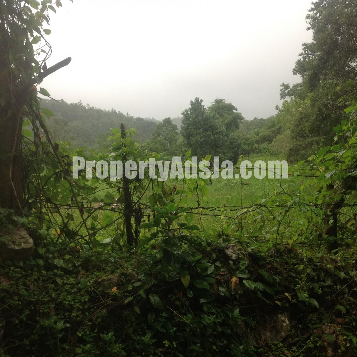 Residential lot For Sale in Claremont, St. Ann Jamaica