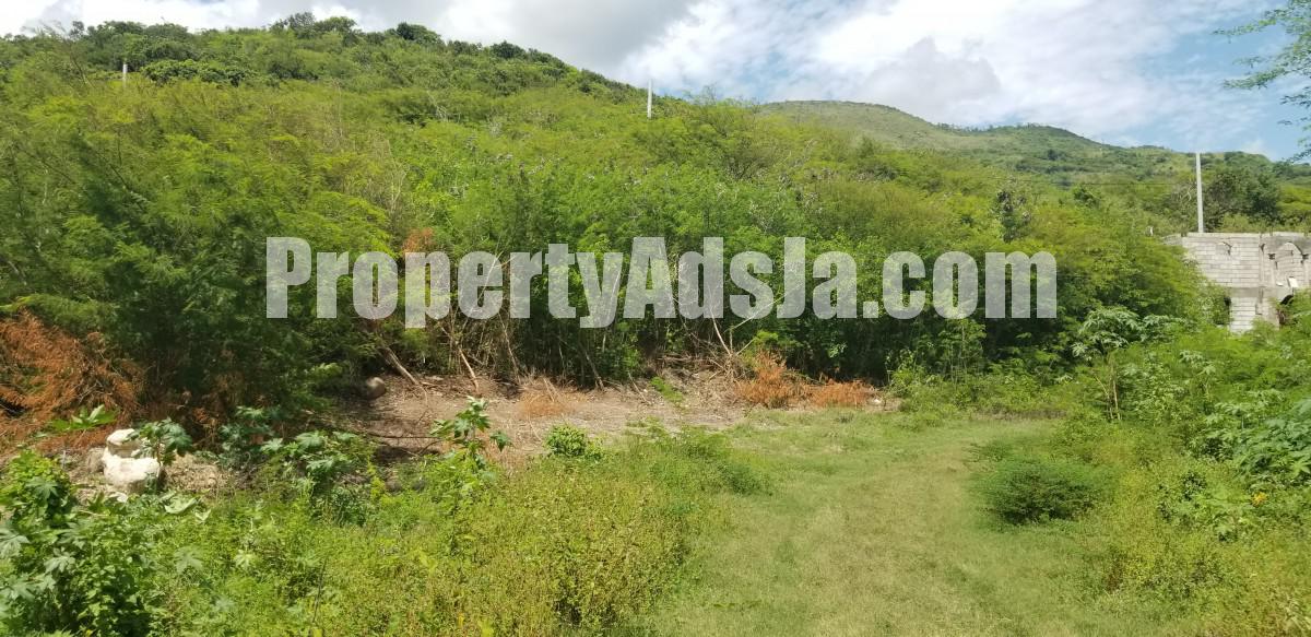 Residential lot For Sale in Pamphret, St. Thomas Jamaica