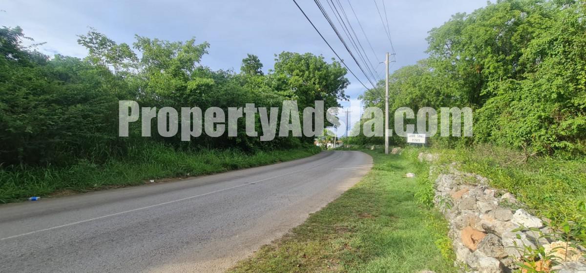 Land For Sale in Silver Sands, Trelawny Jamaica